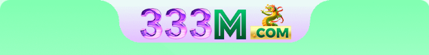 333M.COM